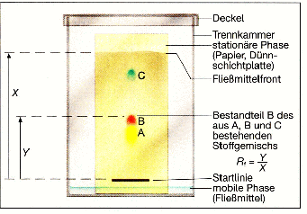 Aufbau eines Papierchromatogramms