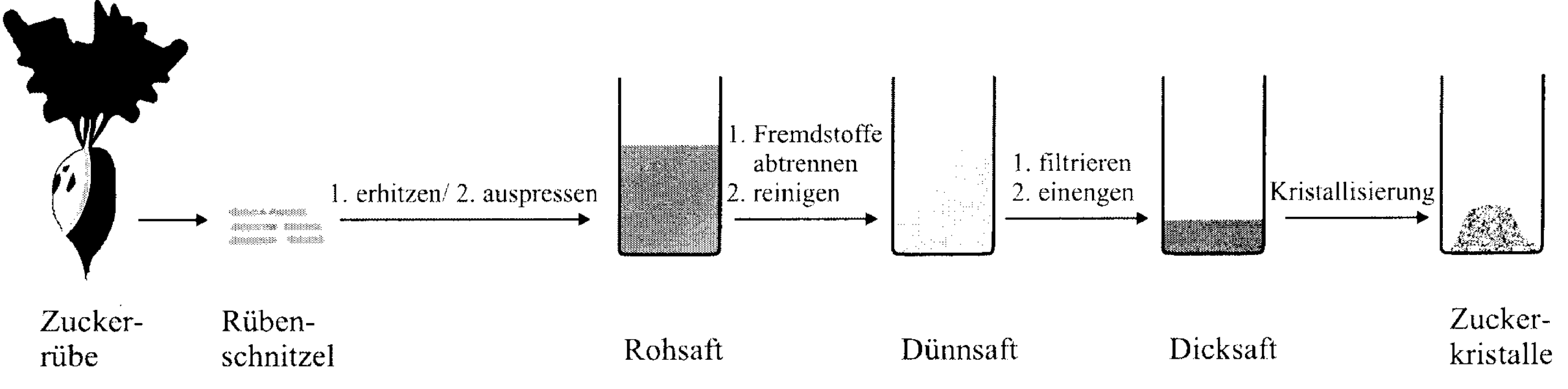 Ablaufschema der Zuckergewinnung