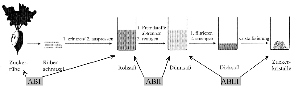 Ablaufschema der Zuckergewinnung