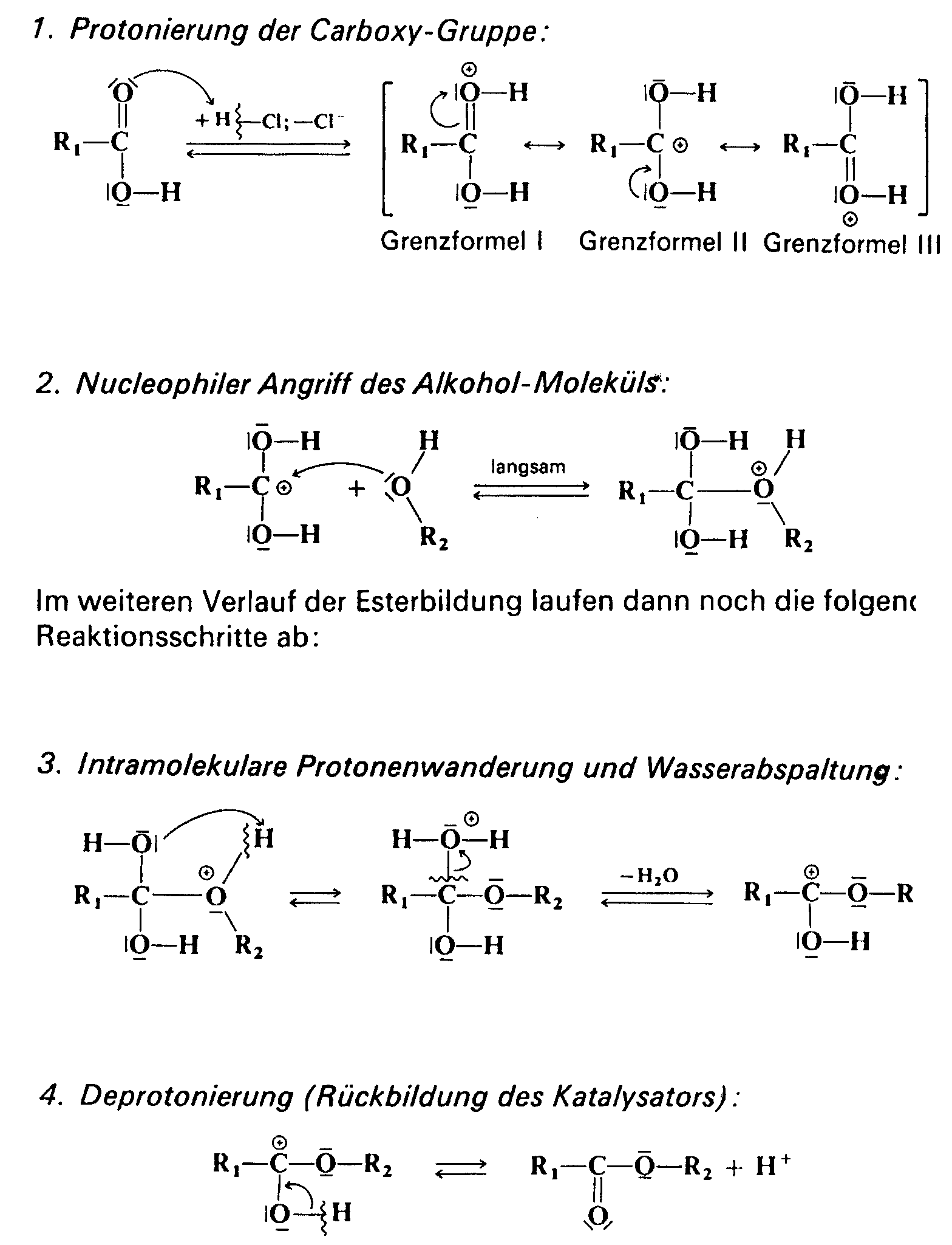 Reaktionsmechanismus der Veresterung