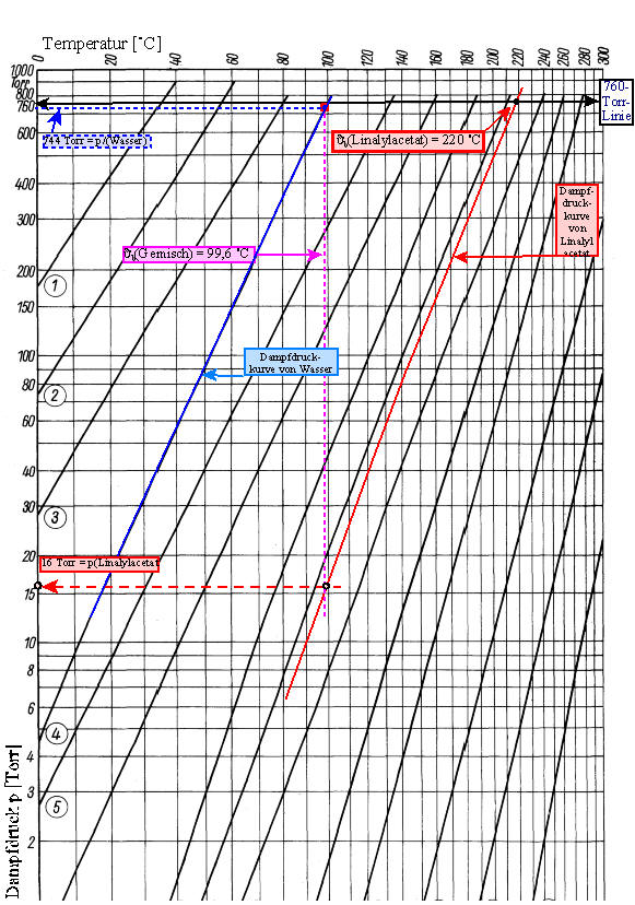 Dampfdruckdiagramm verschiedener Lösungsmittel