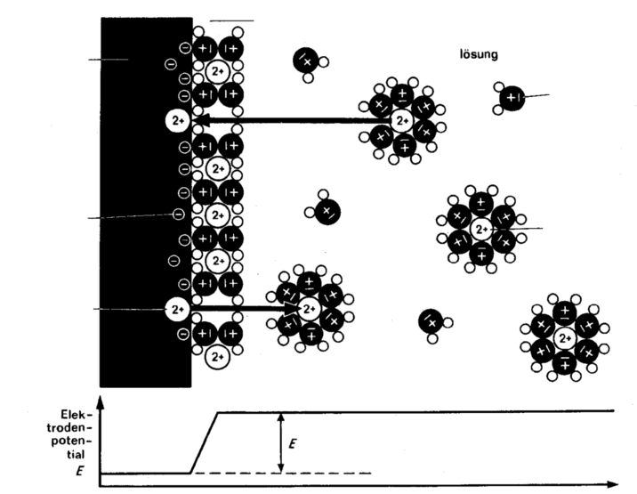 Aufbau der elektrochemischen Doppelschicht